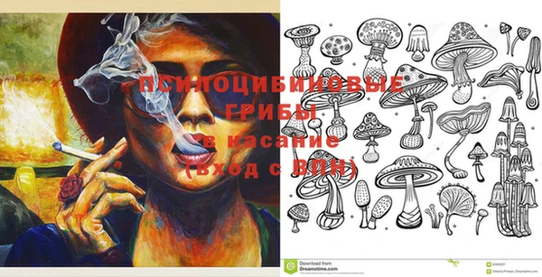 PSILOCYBIN Абаза