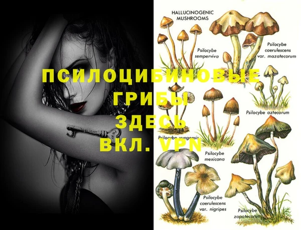 молекула духа Абинск