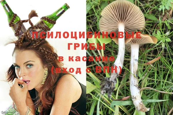 молекула духа Абинск