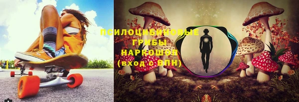 PSILOCYBIN Абаза