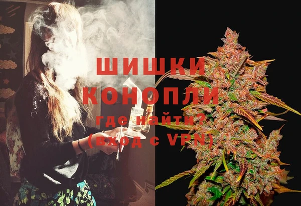 PSILOCYBIN Абаза