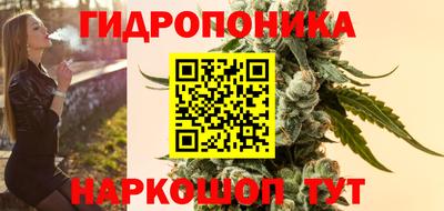 2c-b Краснознаменск