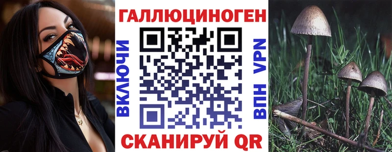 Галлюциногенные грибы Cubensis  кракен ТОР  Кисловодск 
