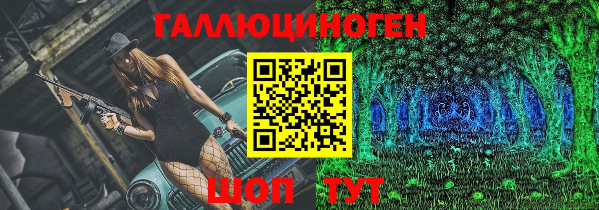 Галлюциногенные грибы Cubensis  Вход с VPN  Кисловодск 